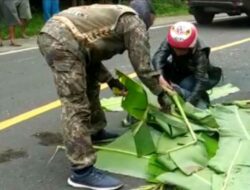 Kecelakaan di Pangandaran, Skuteris asal Bandung Tewas di Tempat