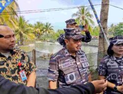 TNI AL Tebar 120 Ribu Ekor Bibit Udang Vaname di Bojongsalawe