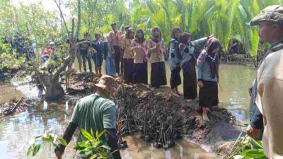Peringati Hari Sungai Nasional, Kwarcab Pramuka Pangandaran Tanam  500 Bibit Mangrove