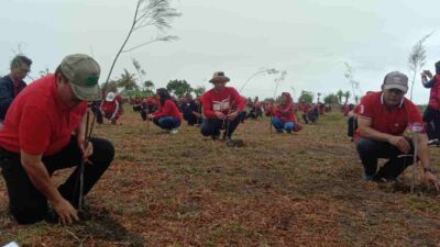 Tanjung Cemara Karangtirta Pangandaran Perlu Reboisasi