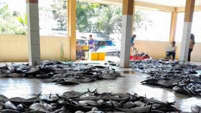 Selama 6 Bulan, Pendapatan Tangkapan Ikan di Pangandaran Mencapai Rp10 Miliar
