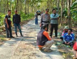 Penebangan Pohon Jati di Kawasan Perhutani Desa Cikalong Pangandaran Diduga Ilegal