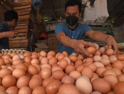 Harga Telur dan Daging Ayam di Pangandaran Diprediksi Naik saat Nataru