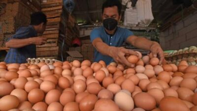 Harga Telur dan Daging Ayam di Pangandaran Diprediksi Naik saat Nataru