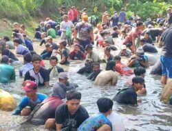 Tradisi Ngobeng Balong Meriah di Padaherang, Ibu-Ibu dan Bapak-Bapak Turun ke Kolam